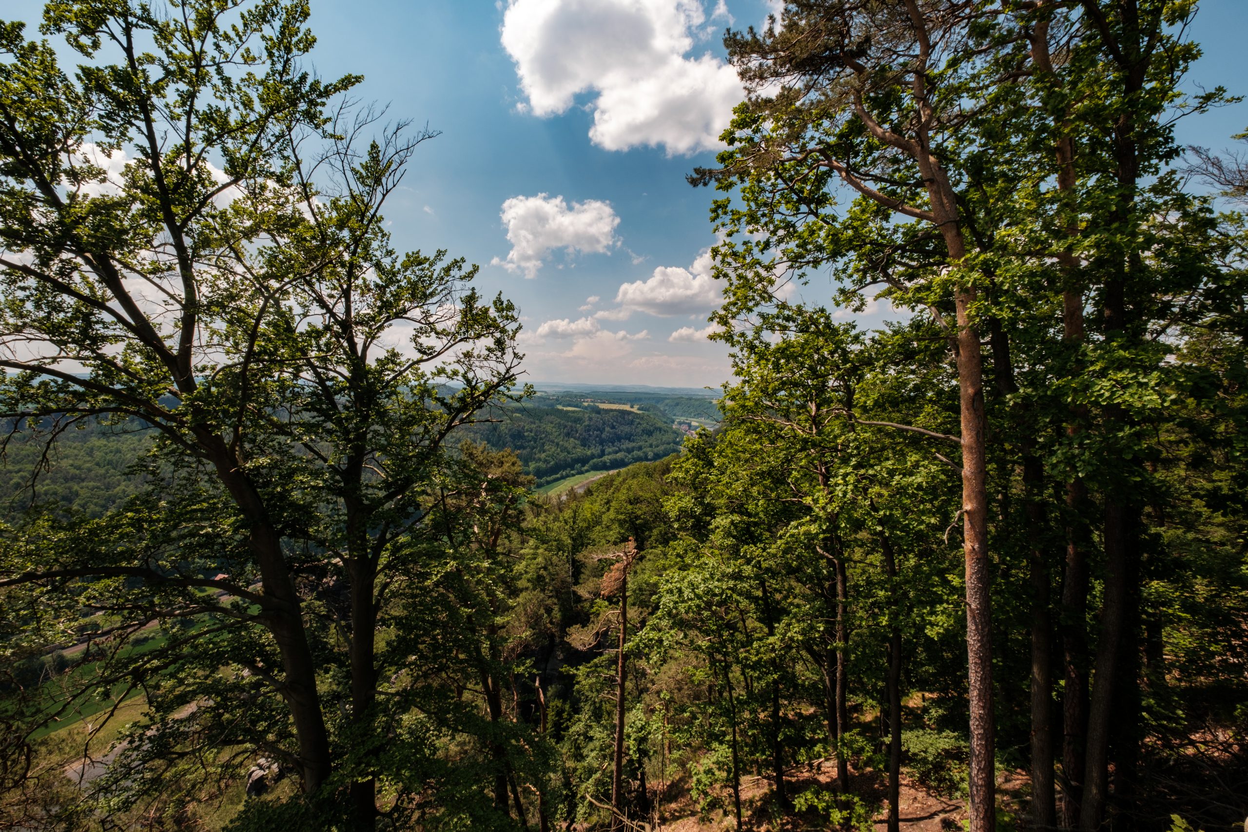elbstandsteingebirge (5)