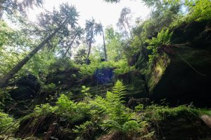 wandern-im-elbsandsteingebirge (15)