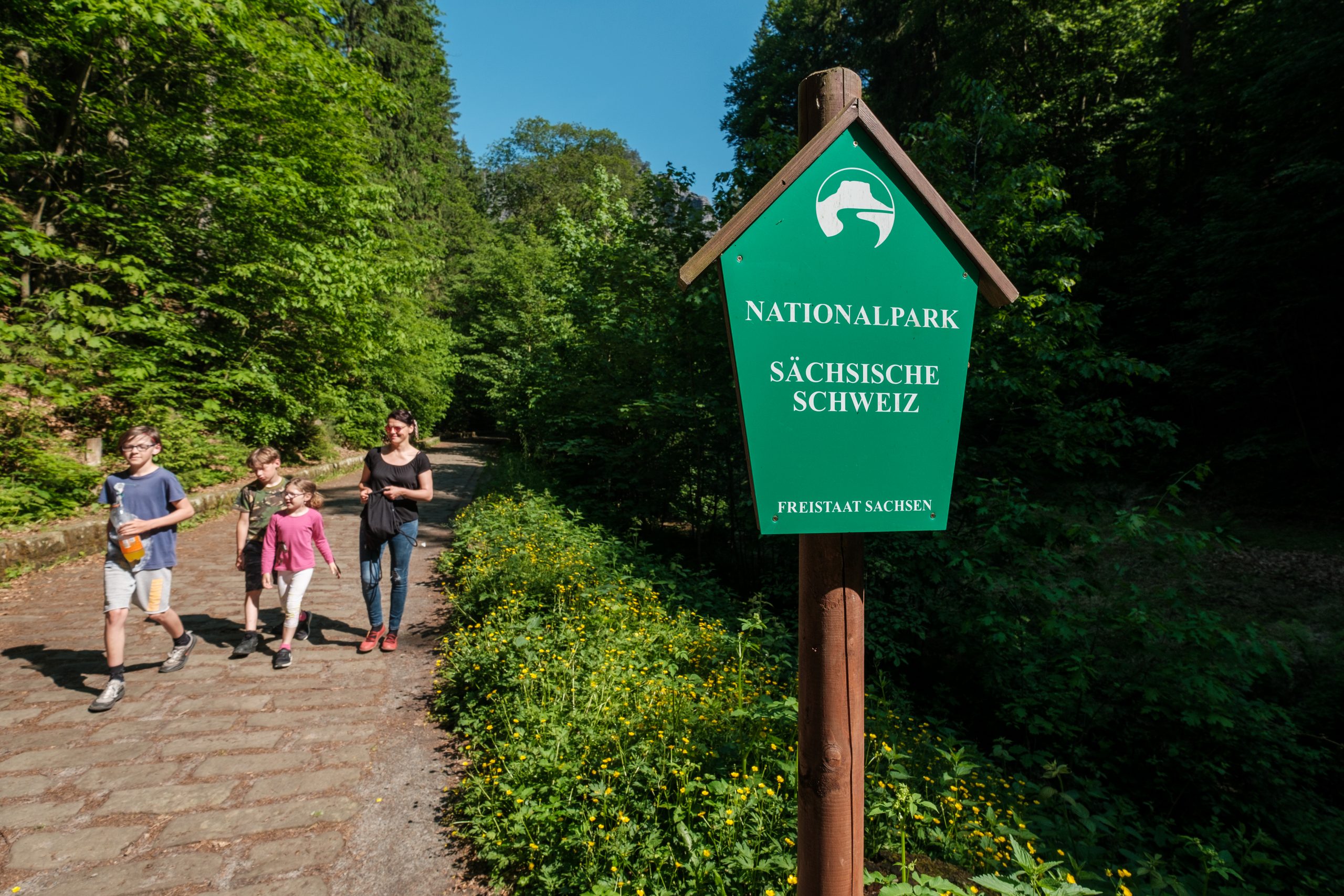 wandern-im-elbsandsteingebirge (6)